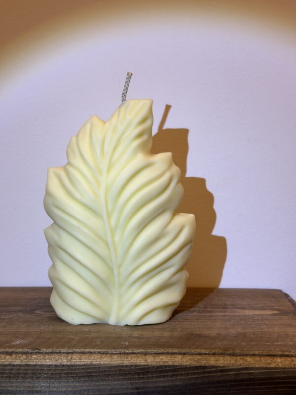 natural soy candle decorative coral φυτικό κερί σόγια διακοσμητικό κοράλλι