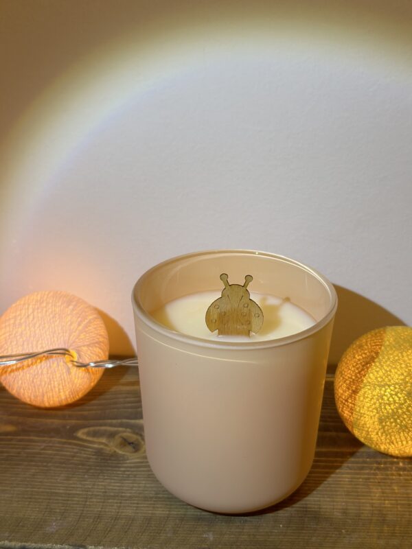 natural soy candle jar decorative φυτικό κερί διακοσμητικό αρωματικό βαζάκι