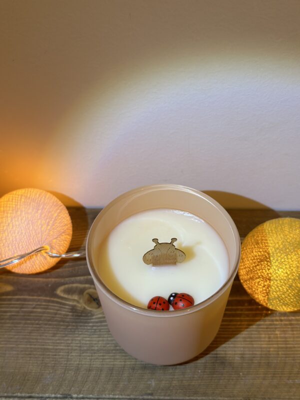 natural soy candle jar decorative φυτικό κερί διακοσμητικό αρωματικό βαζάκι