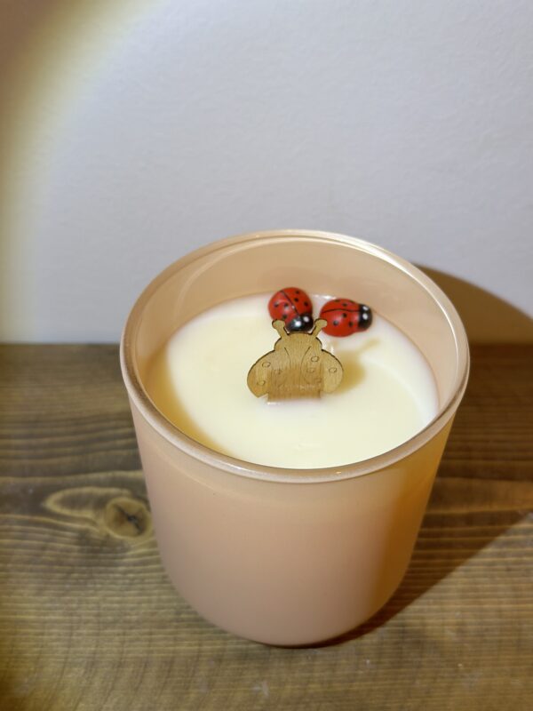 natural soy candle jar decorative φυτικό κερί διακοσμητικό αρωματικό βαζάκι