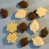 wax melts golden snowflakes leaves and nuts autumn decorative natural soy candle βελανίδια φύλλα φθινόπωρο