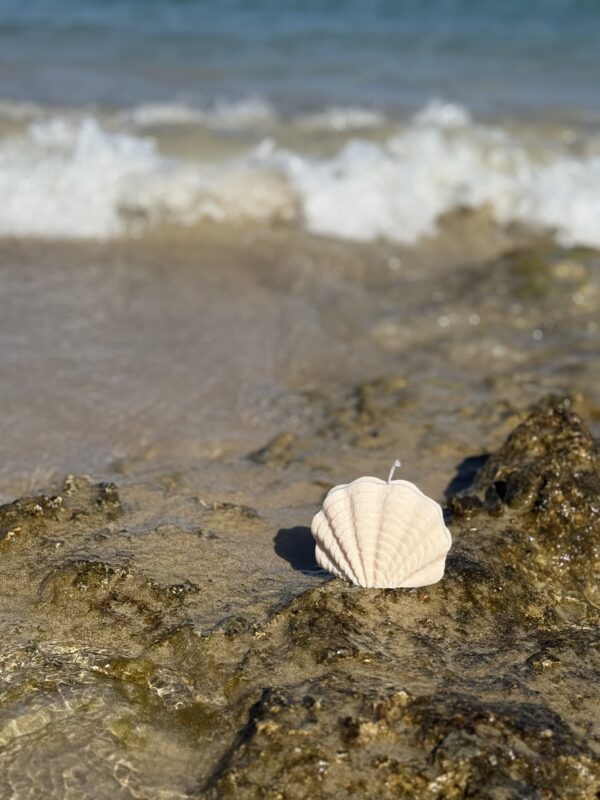 natural soy candle ocean whisper shell candle φυτικό κερί σόγια κοχύλι
