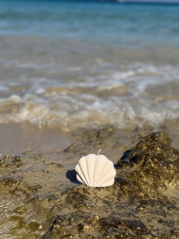 natural soy candle ocean whisper shell candle φυτικό κερί σόγια κοχύλι