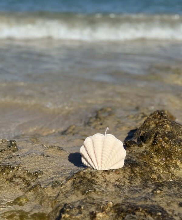 natural soy candle ocean whisper shell candle φυτικό κερί σόγια κοχύλι