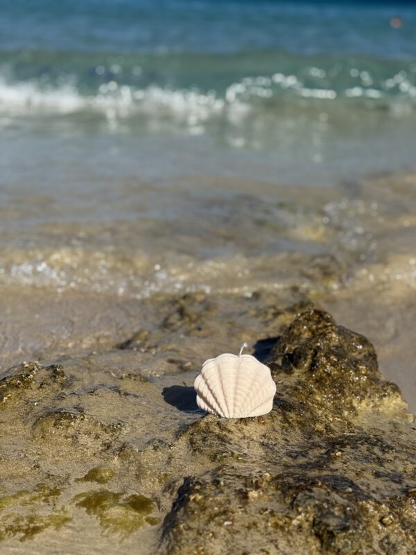 natural soy candle ocean whisper shell candle φυτικό κερί σόγια κοχύλι
